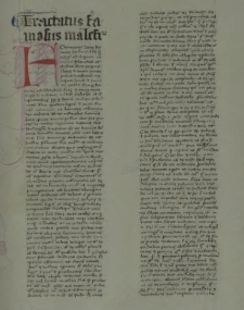 Tractatus famosus maleficiorum