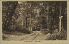 Die Buchheide, Drei Brüder