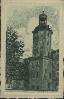 Stettin, Schloss mit Uhrturm